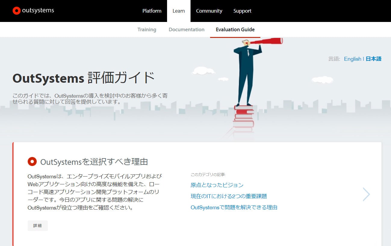 評価ガイドの日本語版